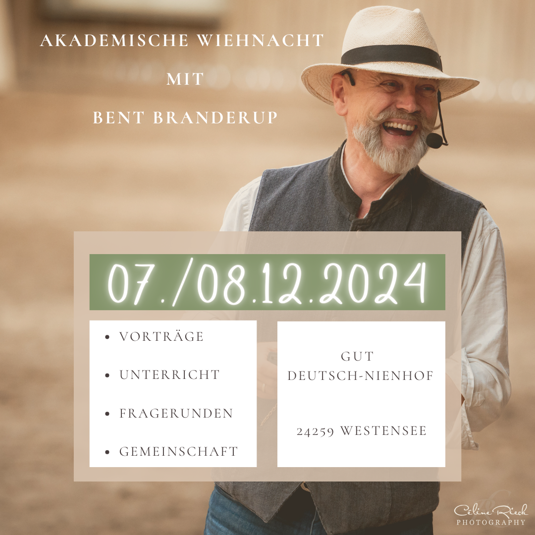 Bent Kurs HP